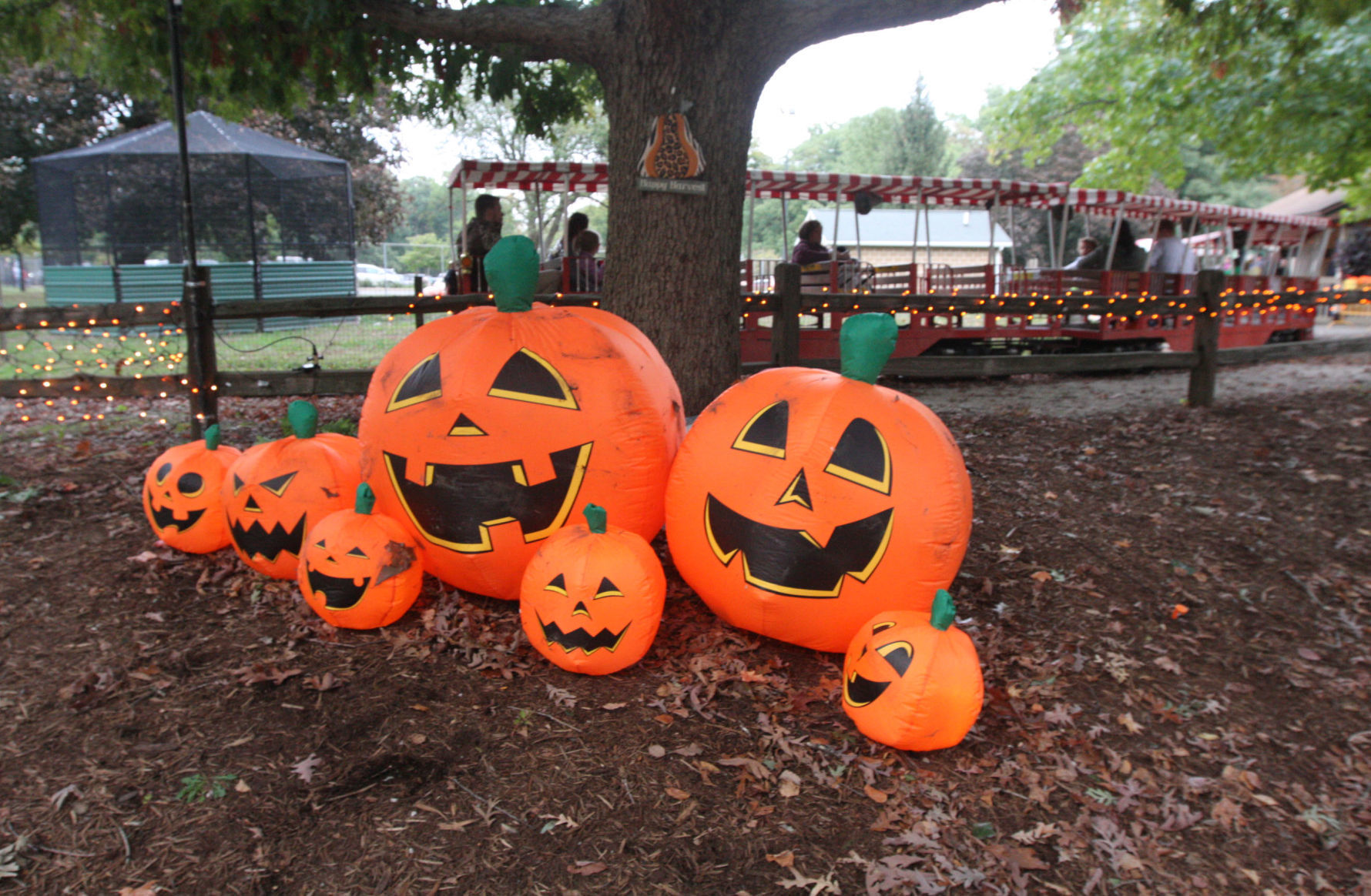 Boo at the Zoo